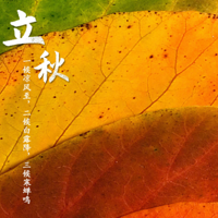 ����������������ݵĸ��»��ᡰ���ط�������