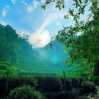 ���ֽ�����ŮԱ��ɫ�齻�ס������¼�ȴ����߹ܻ�Ӧ���������