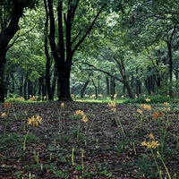 ��ҧ��è�������ӳ���ְͣ�����������