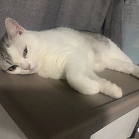 ����һ��λ�ſ���Ϊ�տ���������С����Ⱥ������԰��