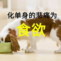 ˢ����֪��һ�����Ͼ���ԣ���Ĳ���������
