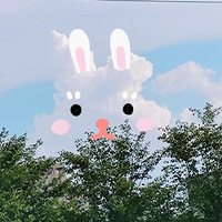 �·����⣬80�������ⶼ��