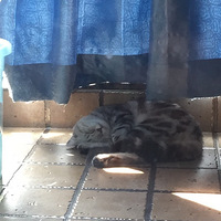 �������׵�һЩ�������е㶫���ģ�