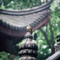 ��ͬ�ռ䣬��ͬ���Σ������ӿ�ʼһ�����������