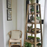 С��̨Ҳ���������ܻ�԰���л��вݲ������