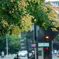 �Ĵ�һŮ��������¹������������ٷ�ͨ�����������