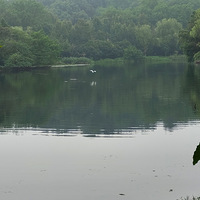 �������ݣ������Ի�