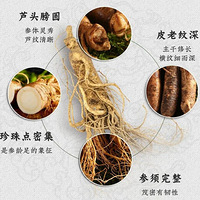 ɣ�ظ࡭���˲Ρ���Ůͬ�µ��ﲹС�Ļ�������Ԫ�����Ǳ������ֺ�