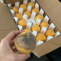 ������ֻ��Ҷ죬ÿ�����У��Ѳ��У԰�����ѣ��춼�б�����