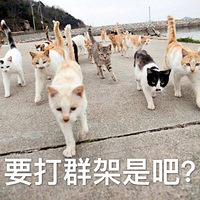 �����±����������ӣ��쿴��������±����û����Щ�ɷ�