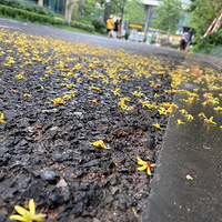 �������磬�����Ͽճ��֡��߲����ơ������ѣ���������������