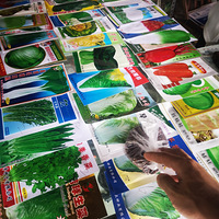 �����°���ģʽ��