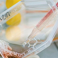 �ߴ��ϸ������ṵ�����١���˵�ǰ׻�Ǯ~