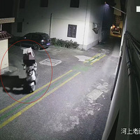 �賿����ɽһ�����լͻȻ���˶���������լ֮�������ұ���������