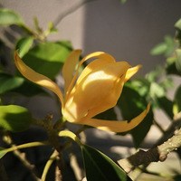 һ�ж���ô����