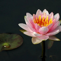 ��������3�㣬9���߱��κ�7������������վ��ʽ��ͨ���������