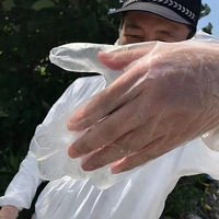 �ں���������ʬ�塰����˵�������ˣ���ʵ�ȿֲ�Ƭ������