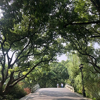 5Ԫ����������������������ͨ�����Ŷӣ�����������淨��99%