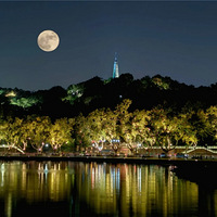 ������