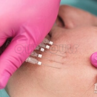 �ߵ���Ƶȫ��������Ч���������������뼦���ߵ�Ի�����Ӱ����