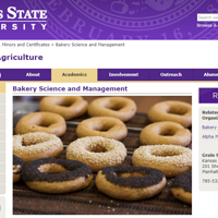 ��������Ӱ�Ǽ���ͷ���ڹ������������ͬ��רҵ������