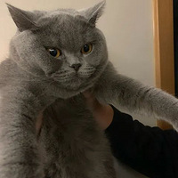 ������Ǯ������ѹ۳������ˣ���׼��������