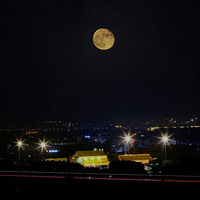 �εη��ϴ��ԣ��������