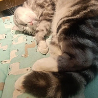 ����һ��У���ý��ˡ�����֮�͡���ѧ�����������Һ�ѧ��