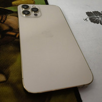 ��һ���Լ��õ�ƻ��12promax