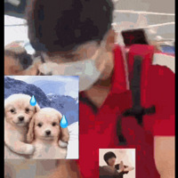 ��˳�ڻ���������˿ǿ�д�ñ�����Ƶ����˻�Ӧ����Ǹ