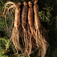 һ�����캼���˶������������������ºͲ�����79Ԫ�ڳ���ɽ�˲�