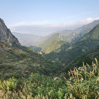 ͽ���պ��ŵ�