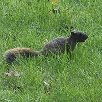 �����գ�����ɽ��һ����Ҳ�ܹ��ĺ�����