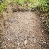 �п��Ĳ����ջ�