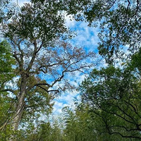 ʮһ�ĺ��ݣ����οͲ��Ǽ�������⼸�����ŵ�ɽ����ֻ���Ϻ���