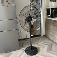 10���ȩ����2/3������һ�п���ס�¼ң�