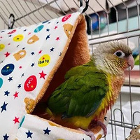 ���ݰ�����ǰ����һĻ�����˻�������·���������������ȴ�