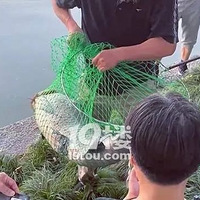 ���������˵���һ�������㣬����������ˡ�����������ԺϷ�����