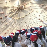 ����ʪ������ ̽��������� ά��ѧ���߳����� �ʹ���Ȼ������