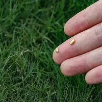 1��ƽ��Ƴ�1000������ף����˶����������ը��