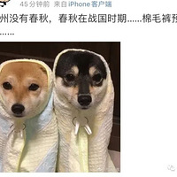 ����ë��Ԥ�����������������ĩ���ˣ����¡��ļ���������������