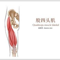 ���º�23�꺼�ݹ��ﴩ�Ŷ̿����ҽԺ�����跴�����������