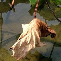 ���������棬������ħ��