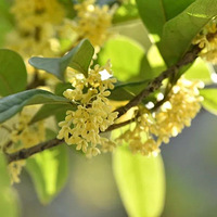 ��������¤����ɽ���˱ȹ��컹�ࣿ���ݽ�����Ҫ���ѣ���Щ�ط�ӵ