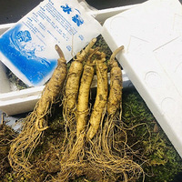 ������̣�ʳ��ȴ����ʡ�����������ºͲ�����79Ԫ�ڳ���ɽ�˲�