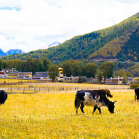 ԽҰ���ܴ������ʵ����ܣ��볤������F70��һ��˵�߾��ߵ�����