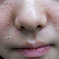 �����������ģ�������ʲô������