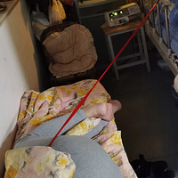 �㽭��Ѯ�ϲ��������������������������ᱼ��