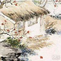 ���Ŷ�ŮӢ�۴�