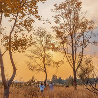 ����΢���Ӧ���������������δ���ƹ������ƽ̨�˺ţ��������